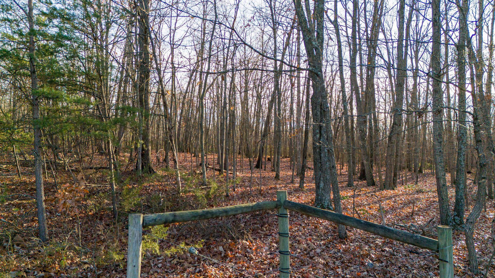 TBD ROCK MOUNTAIN LN, GROTTOES, Virginia 24441, ,Land,14,TBD ROCK MOUNTAIN LN,659520 MLS # 659520