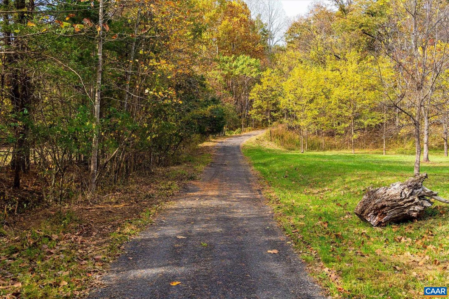 6424 FREE UNION RD, FREE UNION, Virginia 22940, ,Land,For Sale,6424 FREE UNION RD,671320 MLS # 671320