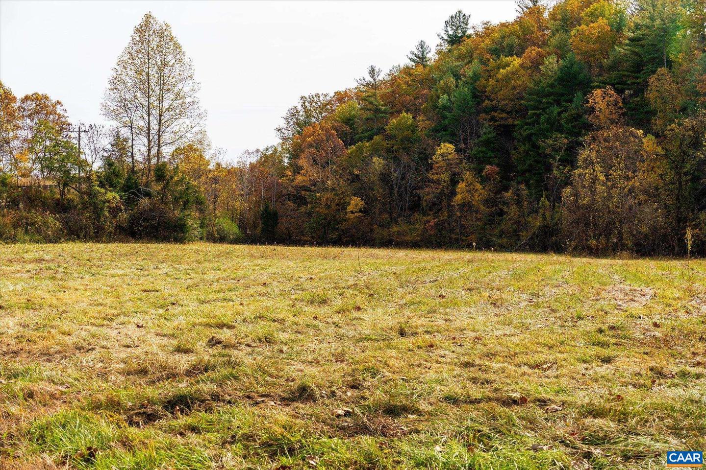 6424 FREE UNION RD, FREE UNION, Virginia 22940, ,Land,For Sale,6424 FREE UNION RD,671320 MLS # 671320