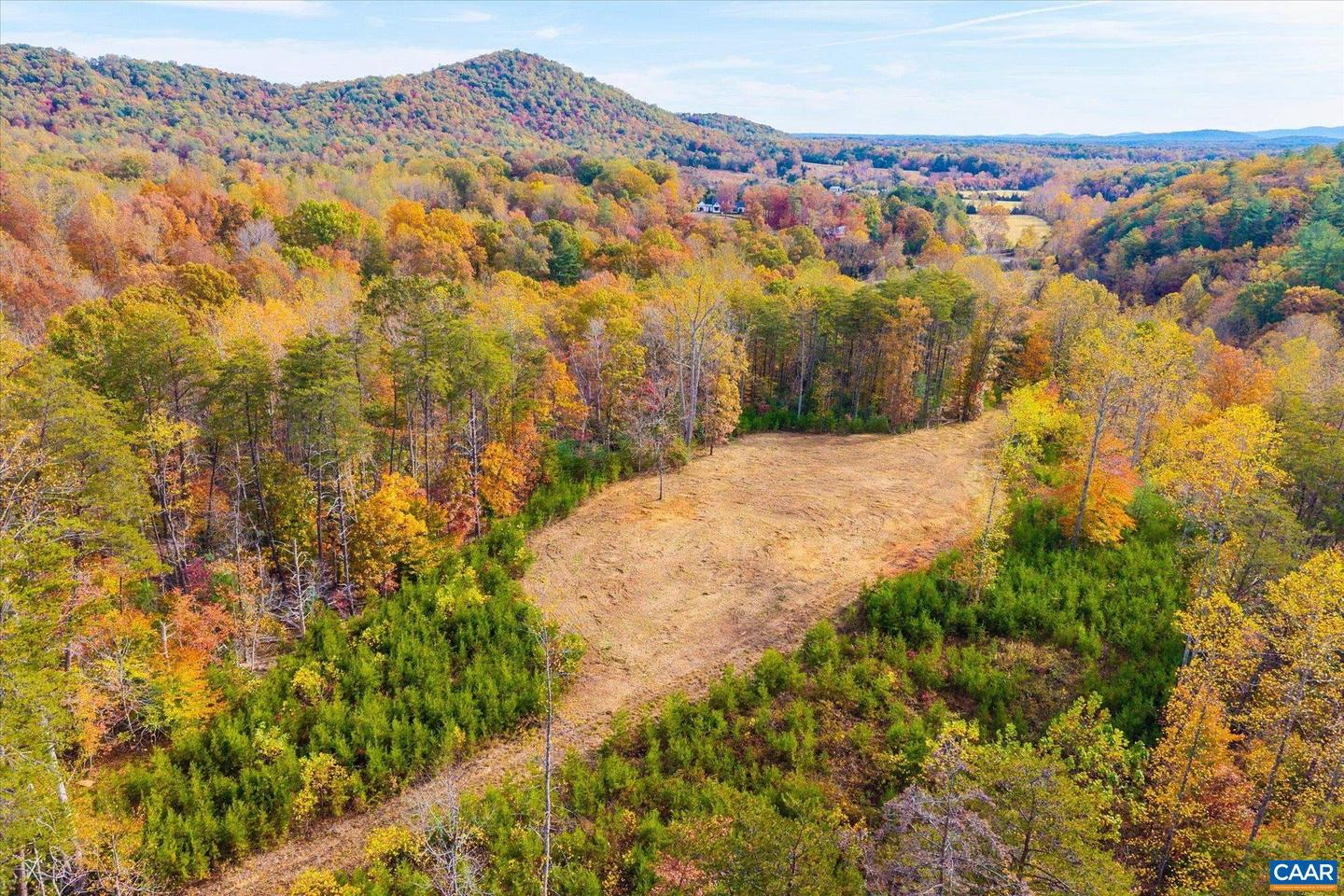 6424 FREE UNION RD, FREE UNION, Virginia 22940, ,Land,For Sale,6424 FREE UNION RD,671320 MLS # 671320