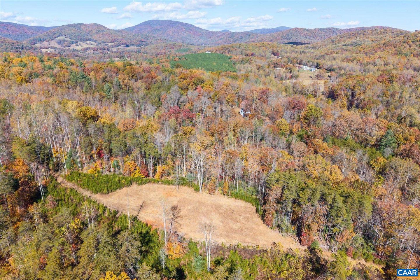 6424 FREE UNION RD, FREE UNION, Virginia 22940, ,Land,For Sale,6424 FREE UNION RD,671320 MLS # 671320