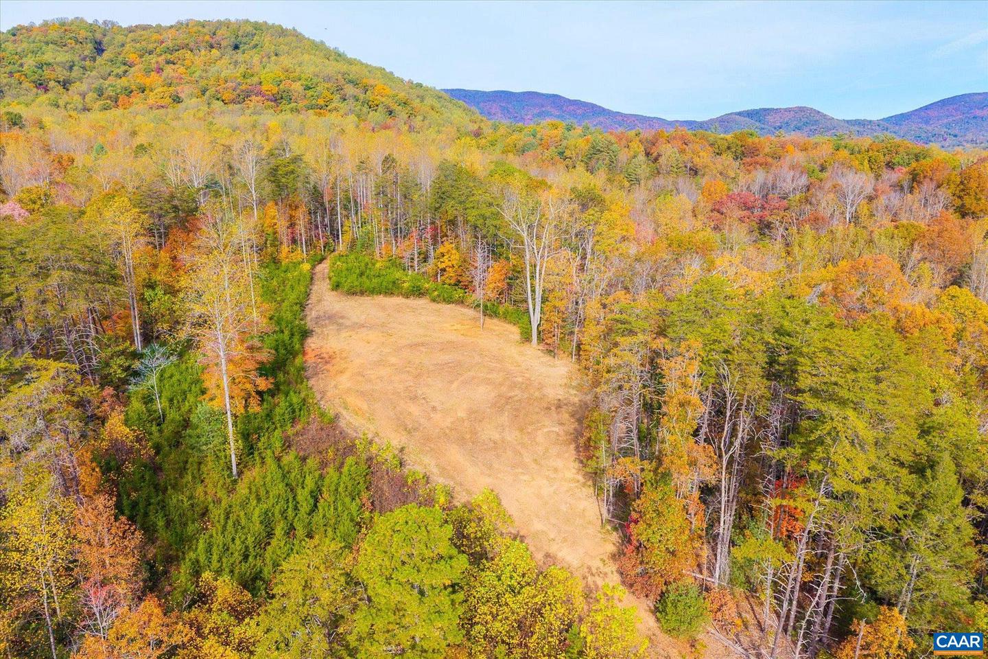 6424 FREE UNION RD, FREE UNION, Virginia 22940, ,Land,For Sale,6424 FREE UNION RD,671320 MLS # 671320