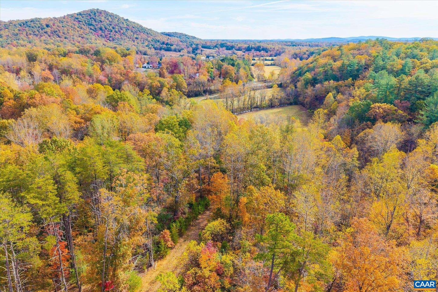 6424 FREE UNION RD, FREE UNION, Virginia 22940, ,Land,For Sale,6424 FREE UNION RD,671320 MLS # 671320