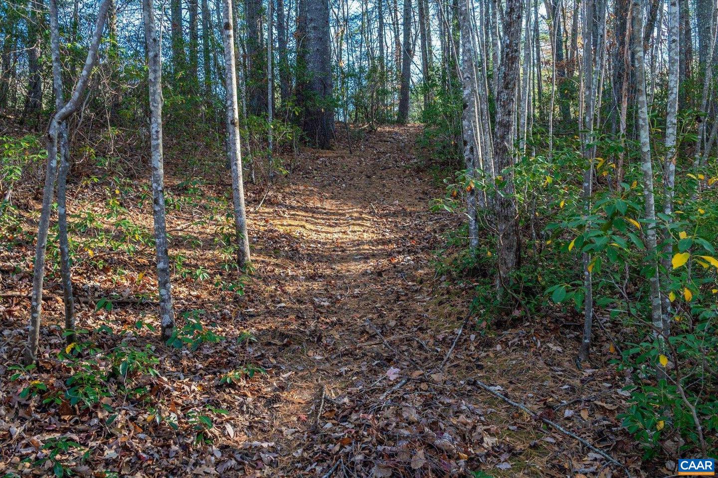 6424 FREE UNION RD, FREE UNION, Virginia 22940, ,Land,For Sale,6424 FREE UNION RD,671320 MLS # 671320