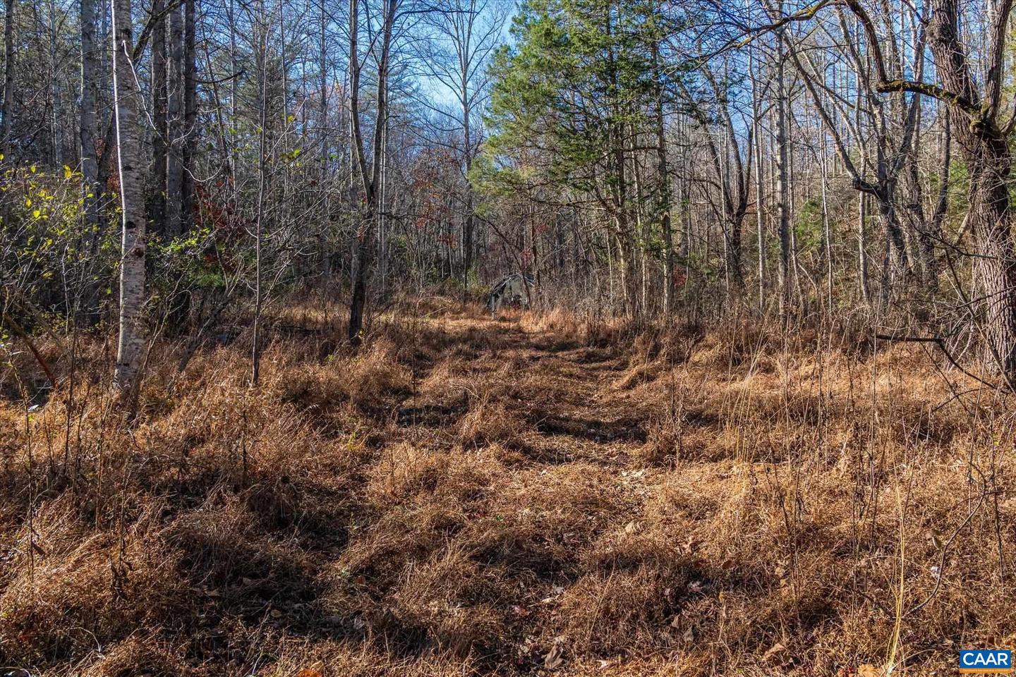 6424 FREE UNION RD, FREE UNION, Virginia 22940, ,Land,For Sale,6424 FREE UNION RD,671320 MLS # 671320