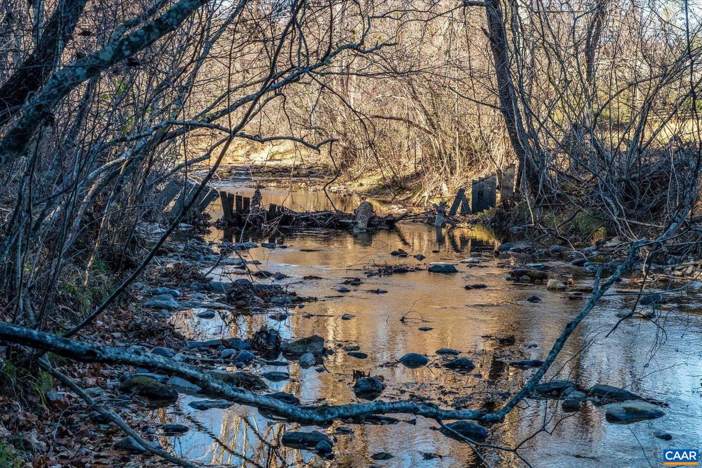 6424 FREE UNION RD, FREE UNION, Virginia 22940, ,Land,For Sale,6424 FREE UNION RD,671320 MLS # 671320