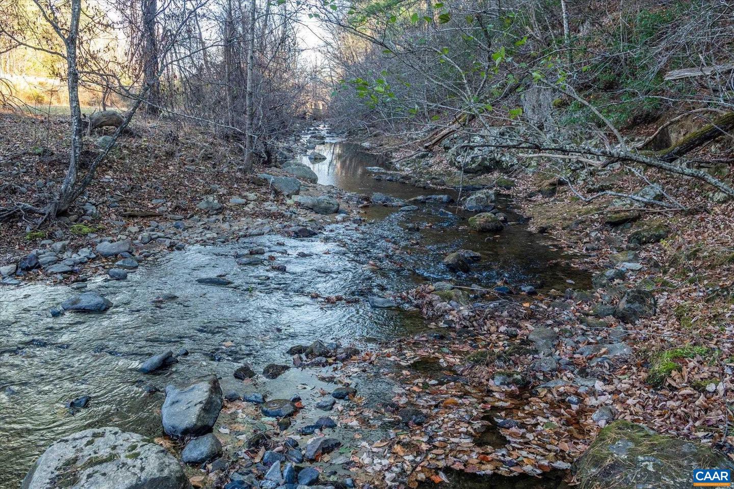 6424 FREE UNION RD, FREE UNION, Virginia 22940, ,Land,For Sale,6424 FREE UNION RD,671320 MLS # 671320