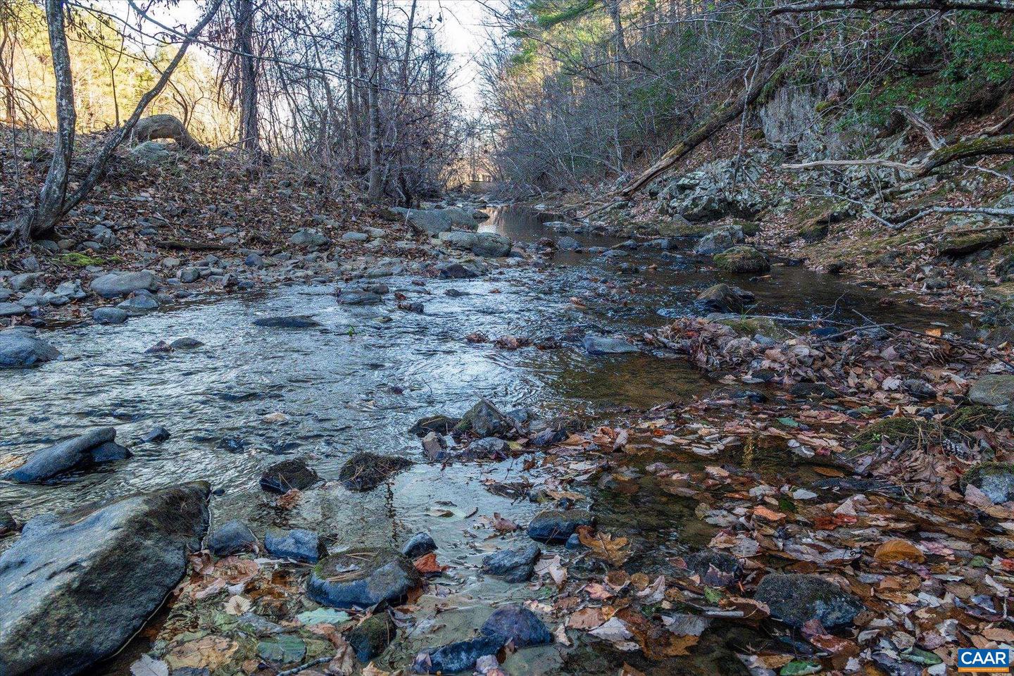 6424 FREE UNION RD, FREE UNION, Virginia 22940, ,Land,For Sale,6424 FREE UNION RD,671320 MLS # 671320