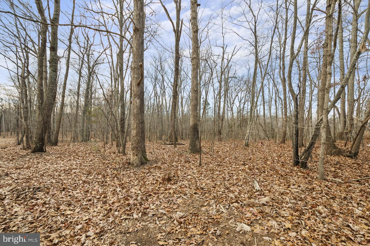 7389 LEEDS MANOR RD, MARSHALL, Virginia 20115, 3 Bedrooms Bedrooms, ,2 BathroomsBathrooms,Residential,For Sale,7389 LEEDS MANOR RD,VAFQ2019920 MLS # VAFQ2019920