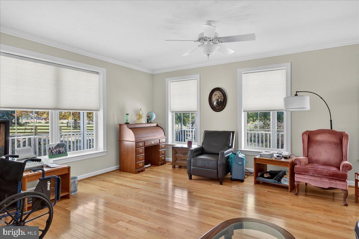 239 MT CARMEL RD, LURAY, Virginia 22835, 5 Bedrooms Bedrooms, ,3 BathroomsBathrooms,Farm,For Sale,239 MT CARMEL RD,VAPA2005526 MLS # VAPA2005526