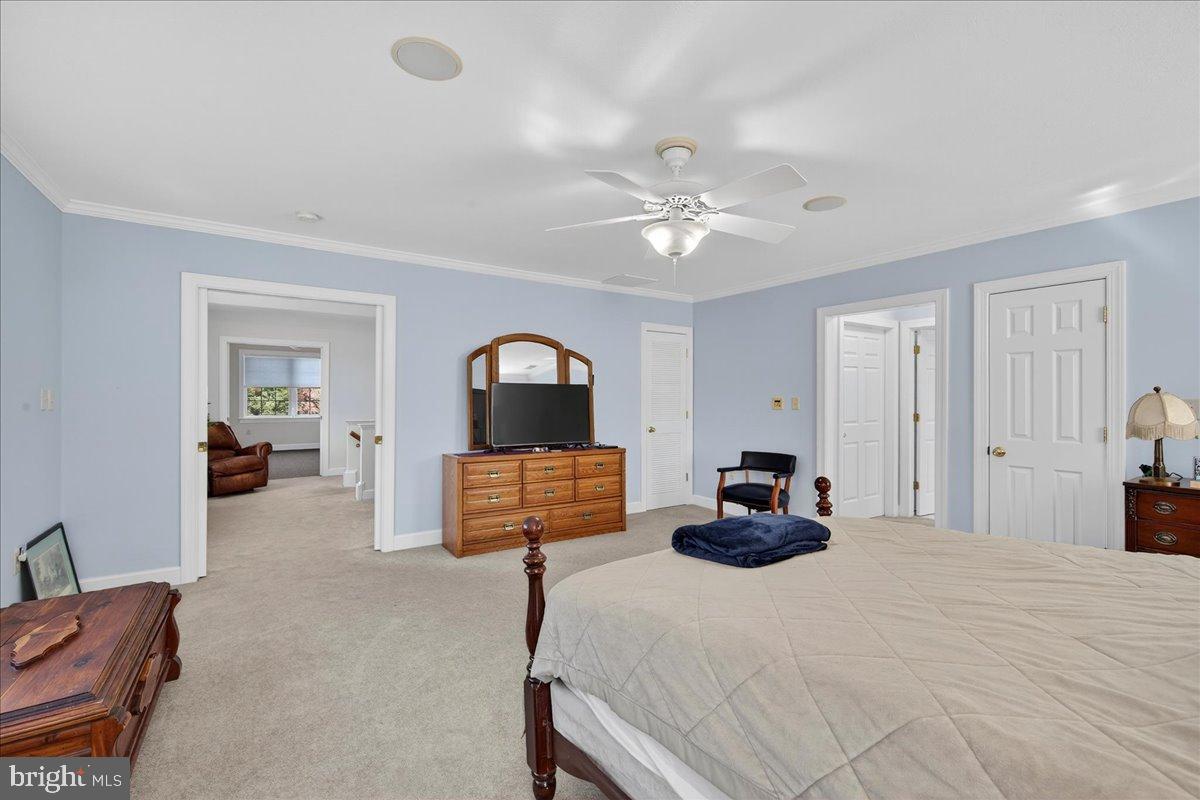 239 MT CARMEL RD, LURAY, Virginia 22835, 5 Bedrooms Bedrooms, ,3 BathroomsBathrooms,Farm,For Sale,239 MT CARMEL RD,VAPA2005526 MLS # VAPA2005526