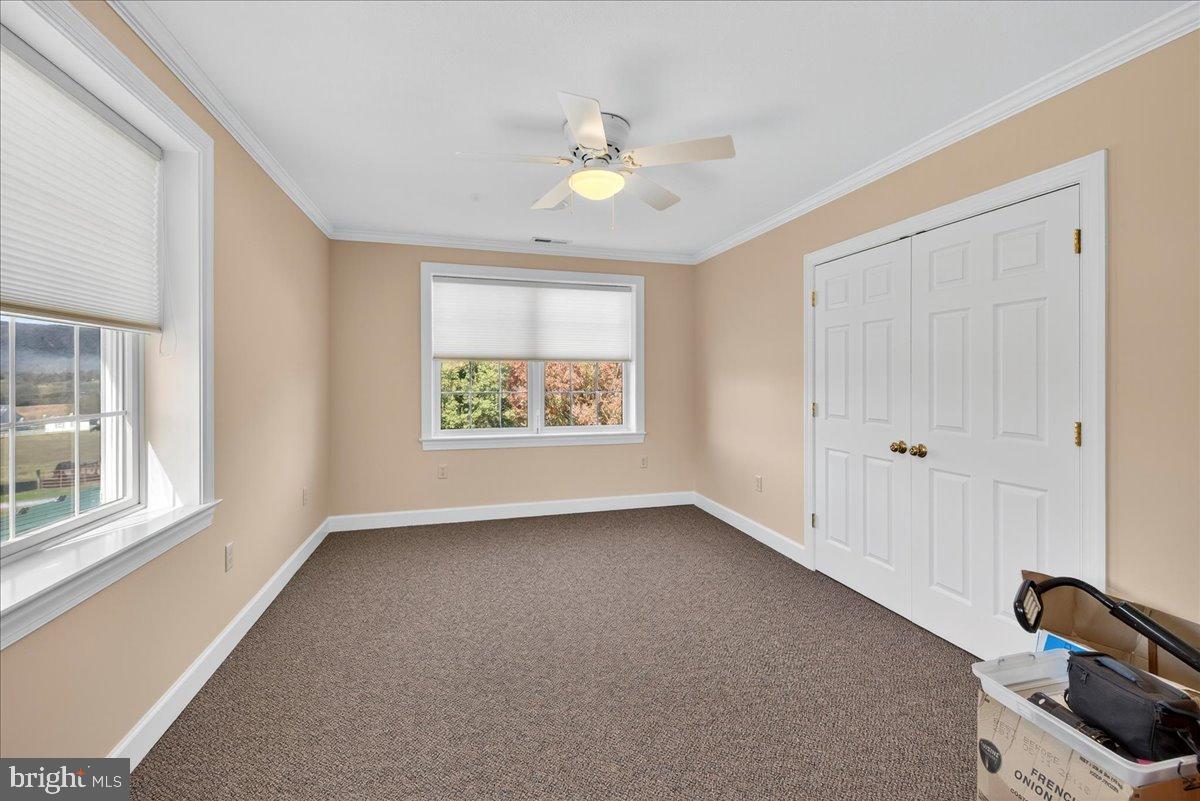 239 MT CARMEL RD, LURAY, Virginia 22835, 5 Bedrooms Bedrooms, ,3 BathroomsBathrooms,Farm,For Sale,239 MT CARMEL RD,VAPA2005526 MLS # VAPA2005526