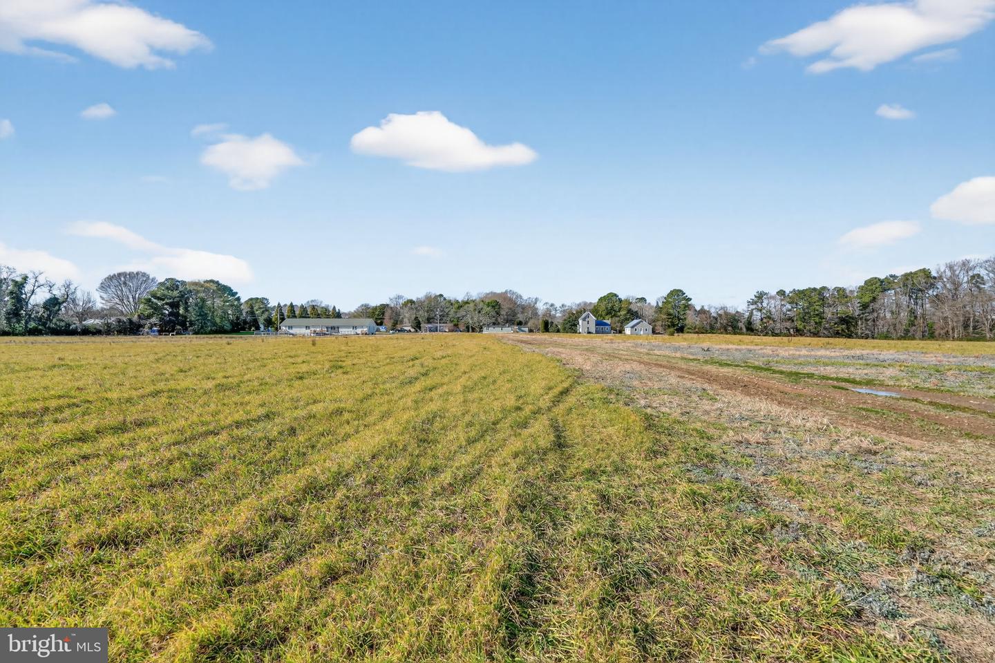 8005 HICKMAN FARM RD, WALLOPS ISLAND, Virginia 23337, 3 Bedrooms Bedrooms, ,2 BathroomsBathrooms,Residential,For Sale,8005 HICKMAN FARM RD,VAAC2002470 MLS # VAAC2002470