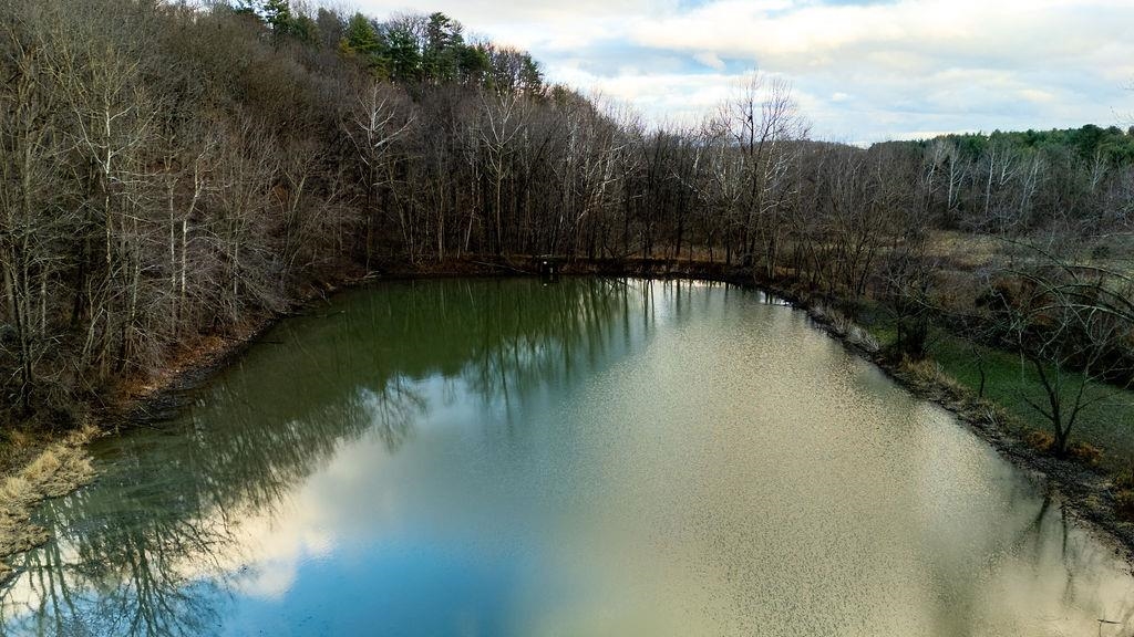 339 BUFFALO BRANCH LN, SWOOPE, Virginia 24479, 4 Bedrooms Bedrooms, ,1 BathroomBathrooms,Residential,14,339 BUFFALO BRANCH LN,671952 MLS # 671952