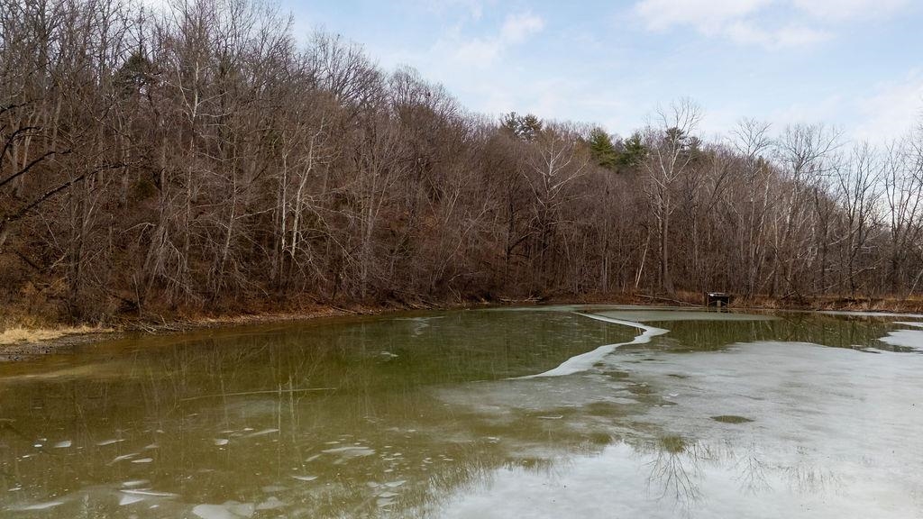 339 BUFFALO BRANCH LN, SWOOPE, Virginia 24479, 4 Bedrooms Bedrooms, ,1 BathroomBathrooms,Residential,14,339 BUFFALO BRANCH LN,671952 MLS # 671952