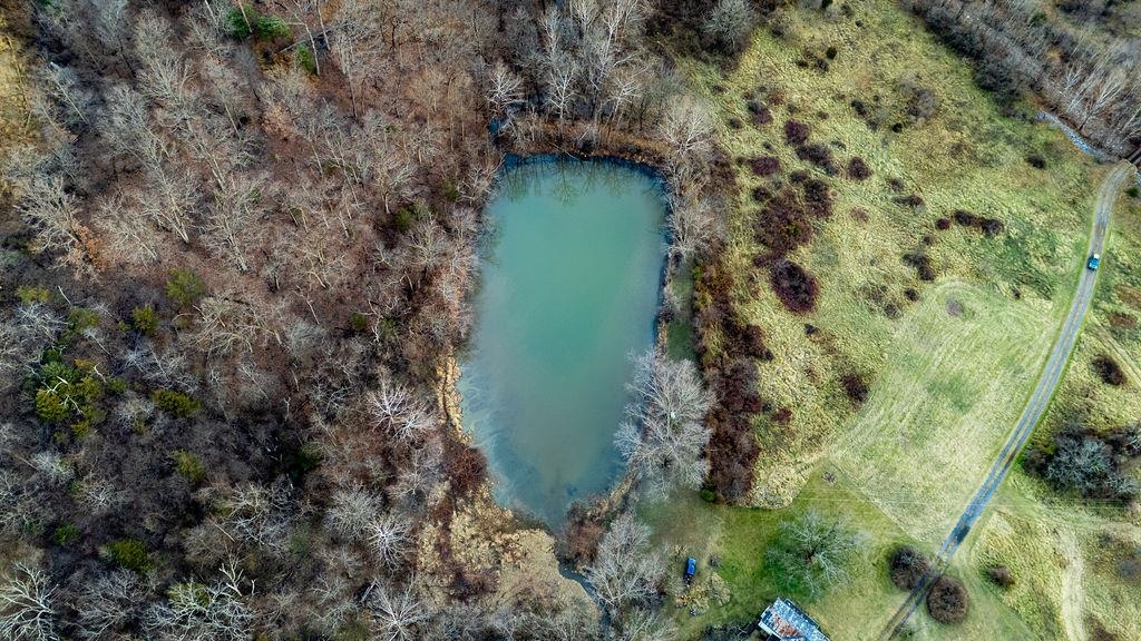 339 BUFFALO BRANCH LN, SWOOPE, Virginia 24479, 4 Bedrooms Bedrooms, ,1 BathroomBathrooms,Residential,14,339 BUFFALO BRANCH LN,671952 MLS # 671952