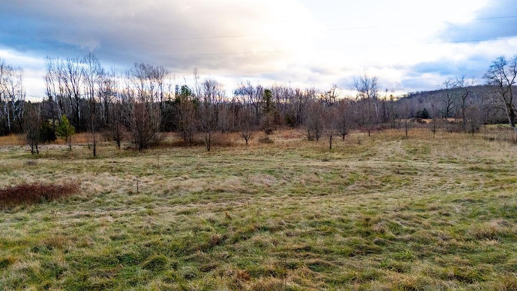 339 BUFFALO BRANCH LN, SWOOPE, Virginia 24479, 4 Bedrooms Bedrooms, ,1 BathroomBathrooms,Residential,14,339 BUFFALO BRANCH LN,671952 MLS # 671952