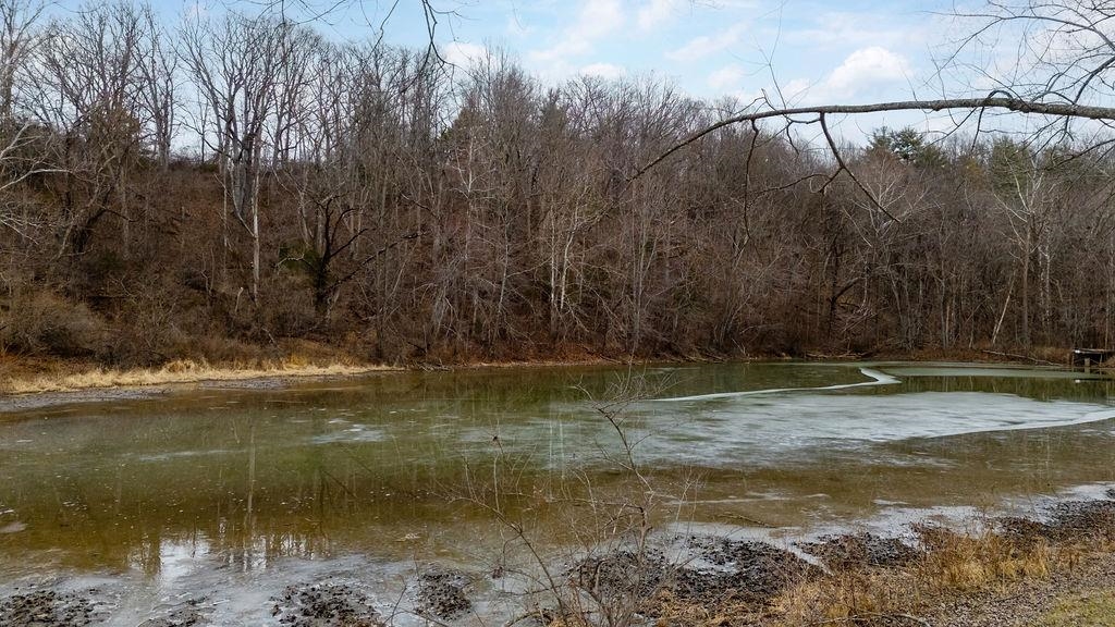 339 BUFFALO BRANCH LN, SWOOPE, Virginia 24479, 4 Bedrooms Bedrooms, ,1 BathroomBathrooms,Residential,14,339 BUFFALO BRANCH LN,671952 MLS # 671952