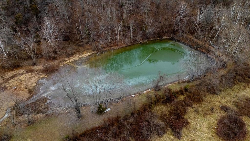 339 BUFFALO BRANCH LN, SWOOPE, Virginia 24479, 4 Bedrooms Bedrooms, ,1 BathroomBathrooms,Residential,14,339 BUFFALO BRANCH LN,671952 MLS # 671952