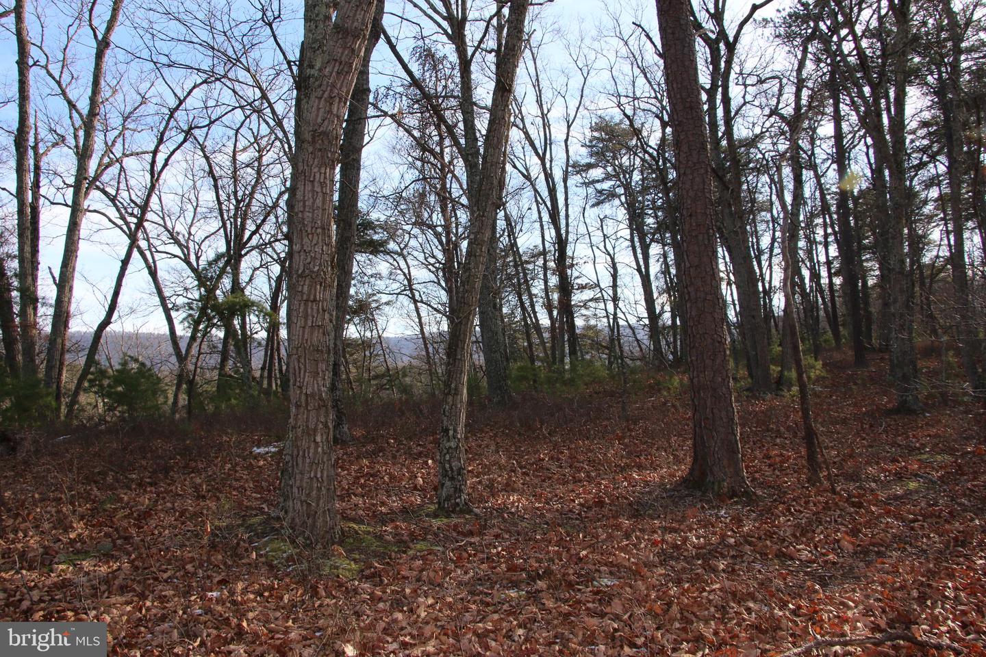 JOHN MARSHALL HWY, STRASBURG, Virginia 22657, ,Land,For Sale,JOHN MARSHALL HWY,VASH2013186 MLS # VASH2013186