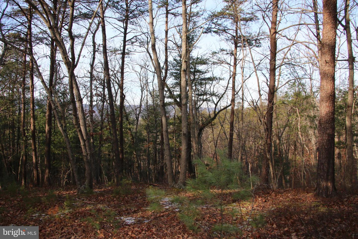 JOHN MARSHALL HWY, STRASBURG, Virginia 22657, ,Land,For Sale,JOHN MARSHALL HWY,VASH2013186 MLS # VASH2013186