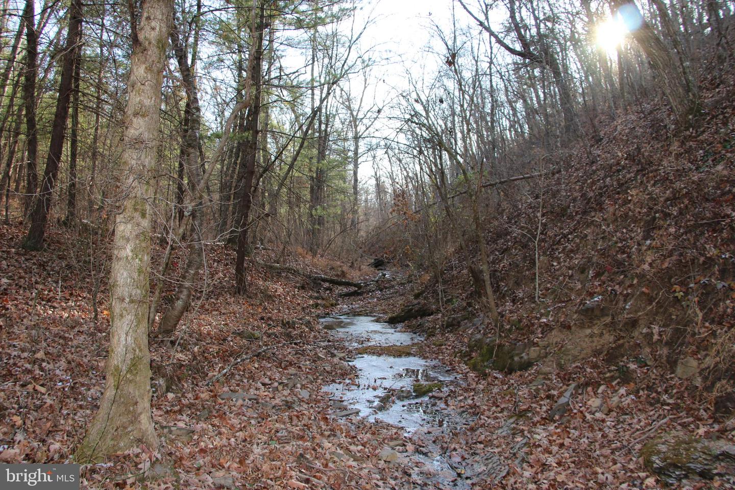 JOHN MARSHALL HWY, STRASBURG, Virginia 22657, ,Land,For Sale,JOHN MARSHALL HWY,VASH2013186 MLS # VASH2013186