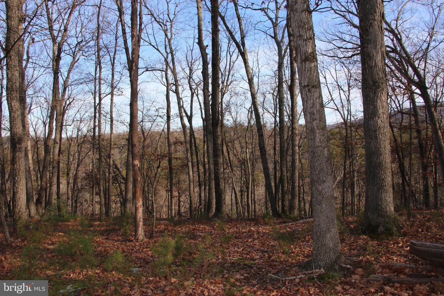 JOHN MARSHALL HWY, STRASBURG, Virginia 22657, ,Land,For Sale,JOHN MARSHALL HWY,VASH2013186 MLS # VASH2013186