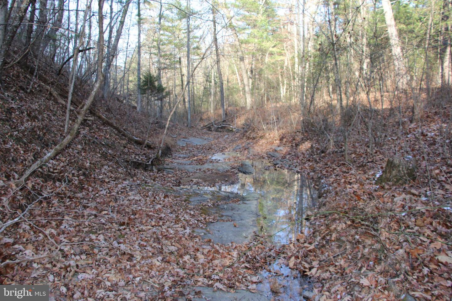 JOHN MARSHALL HWY, STRASBURG, Virginia 22657, ,Land,For Sale,JOHN MARSHALL HWY,VASH2013186 MLS # VASH2013186
