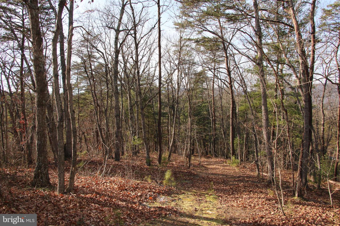 JOHN MARSHALL HWY, STRASBURG, Virginia 22657, ,Land,For Sale,JOHN MARSHALL HWY,VASH2013186 MLS # VASH2013186