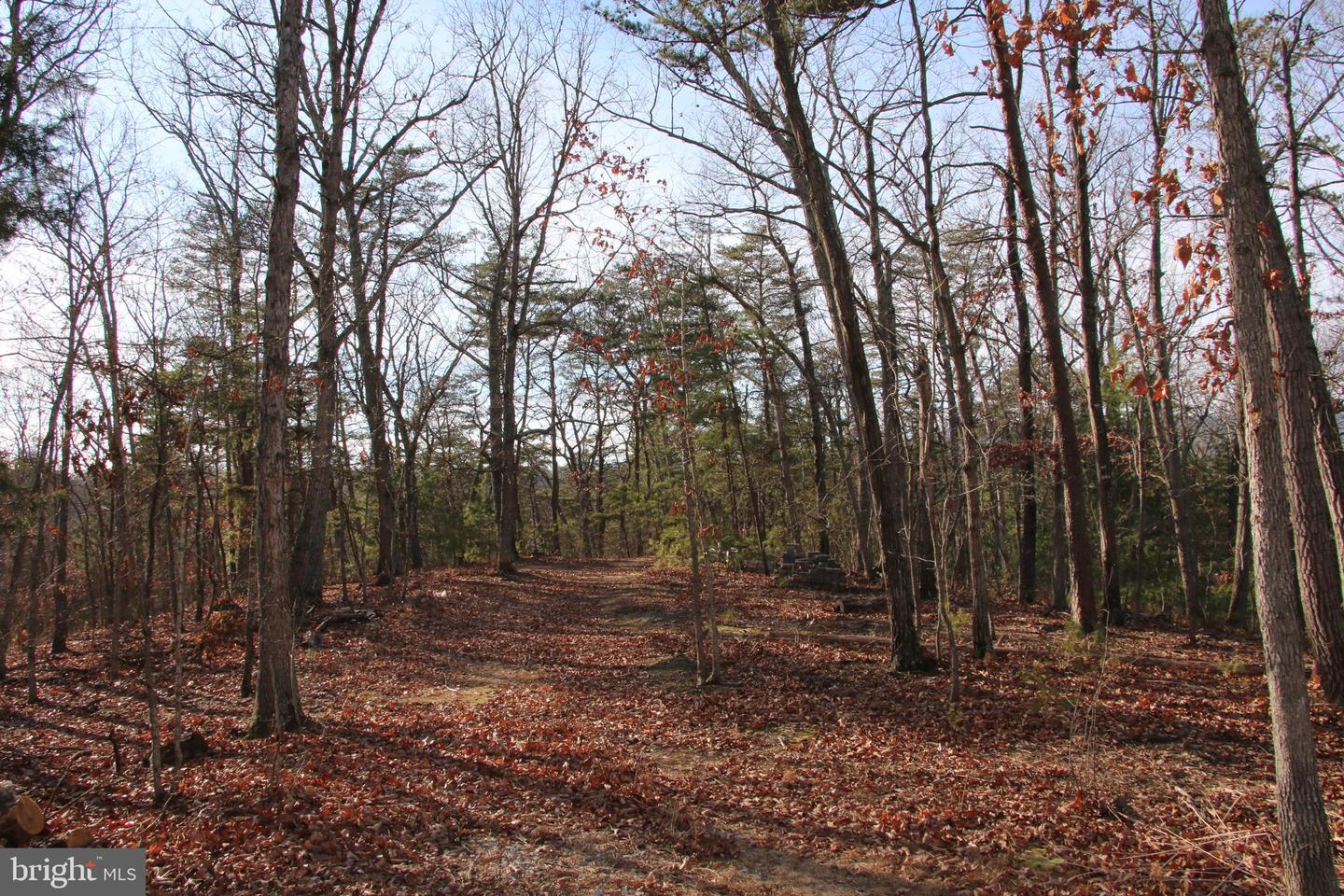 JOHN MARSHALL HWY, STRASBURG, Virginia 22657, ,Land,For Sale,JOHN MARSHALL HWY,VASH2013186 MLS # VASH2013186