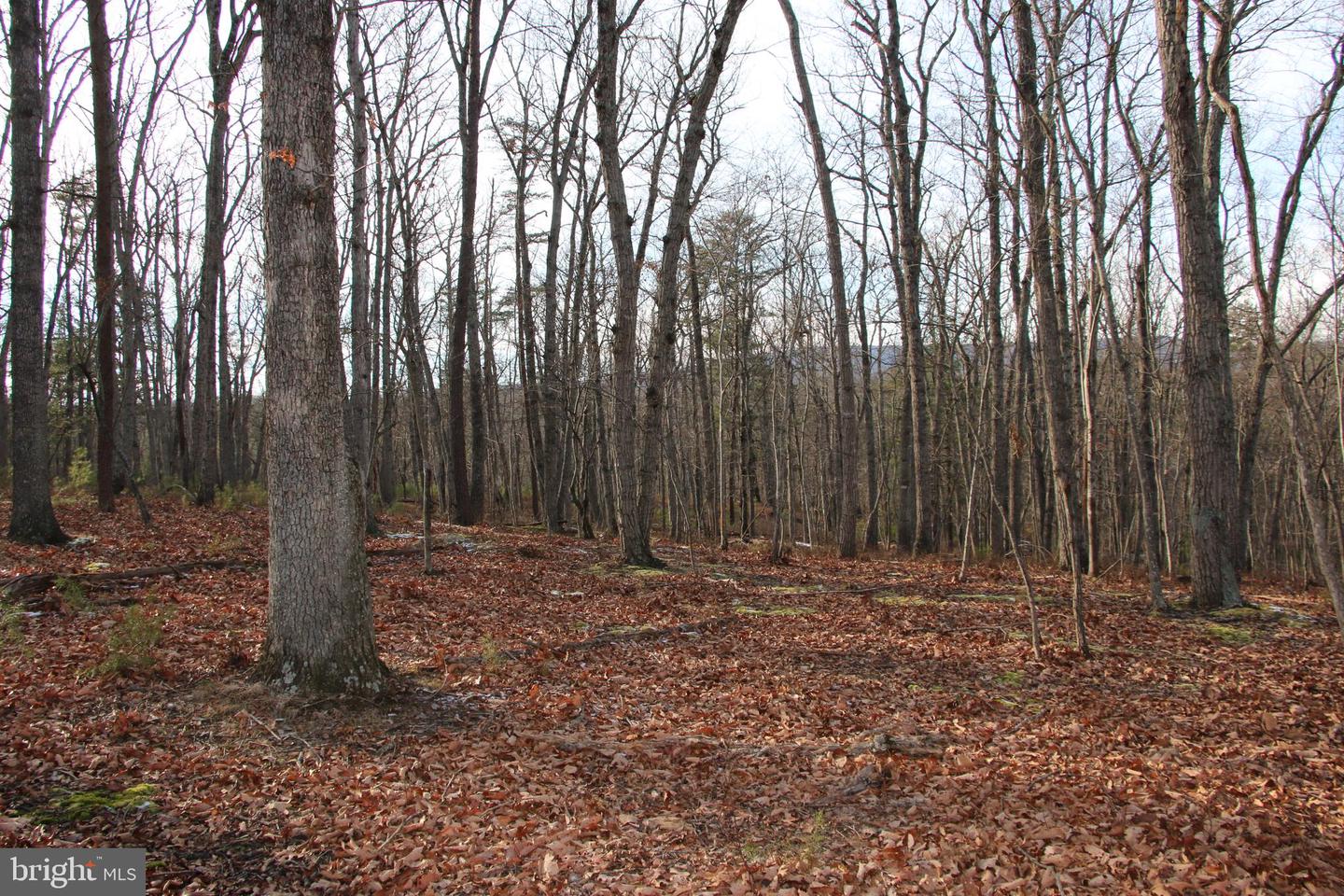 JOHN MARSHALL HWY, STRASBURG, Virginia 22657, ,Land,For Sale,JOHN MARSHALL HWY,VASH2013186 MLS # VASH2013186