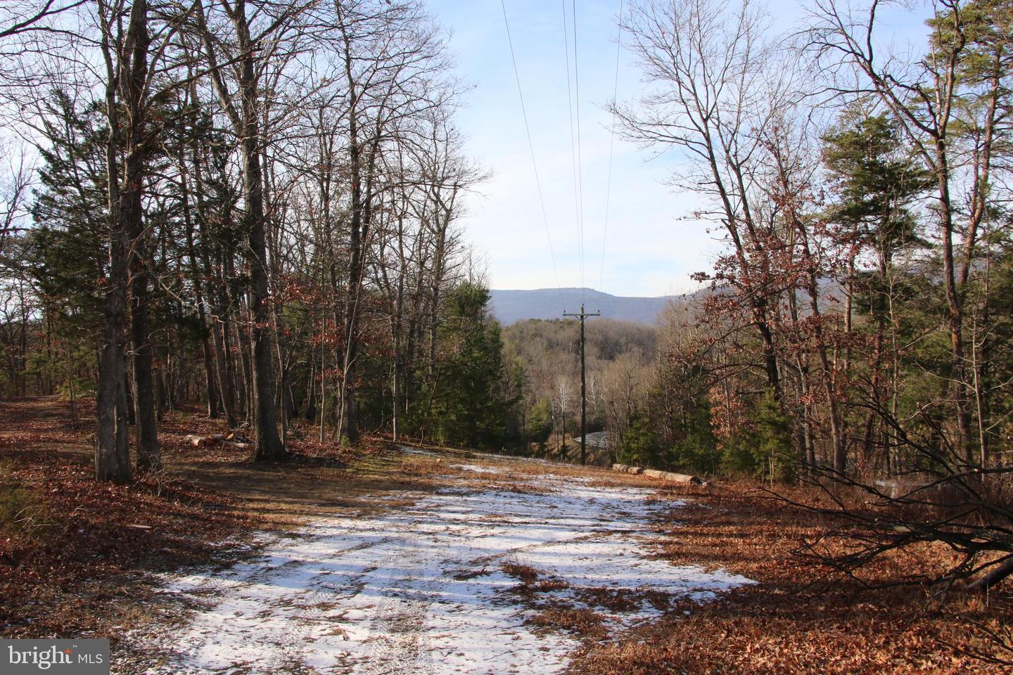 JOHN MARSHALL HWY, STRASBURG, Virginia 22657, ,Land,For Sale,JOHN MARSHALL HWY,VASH2013186 MLS # VASH2013186