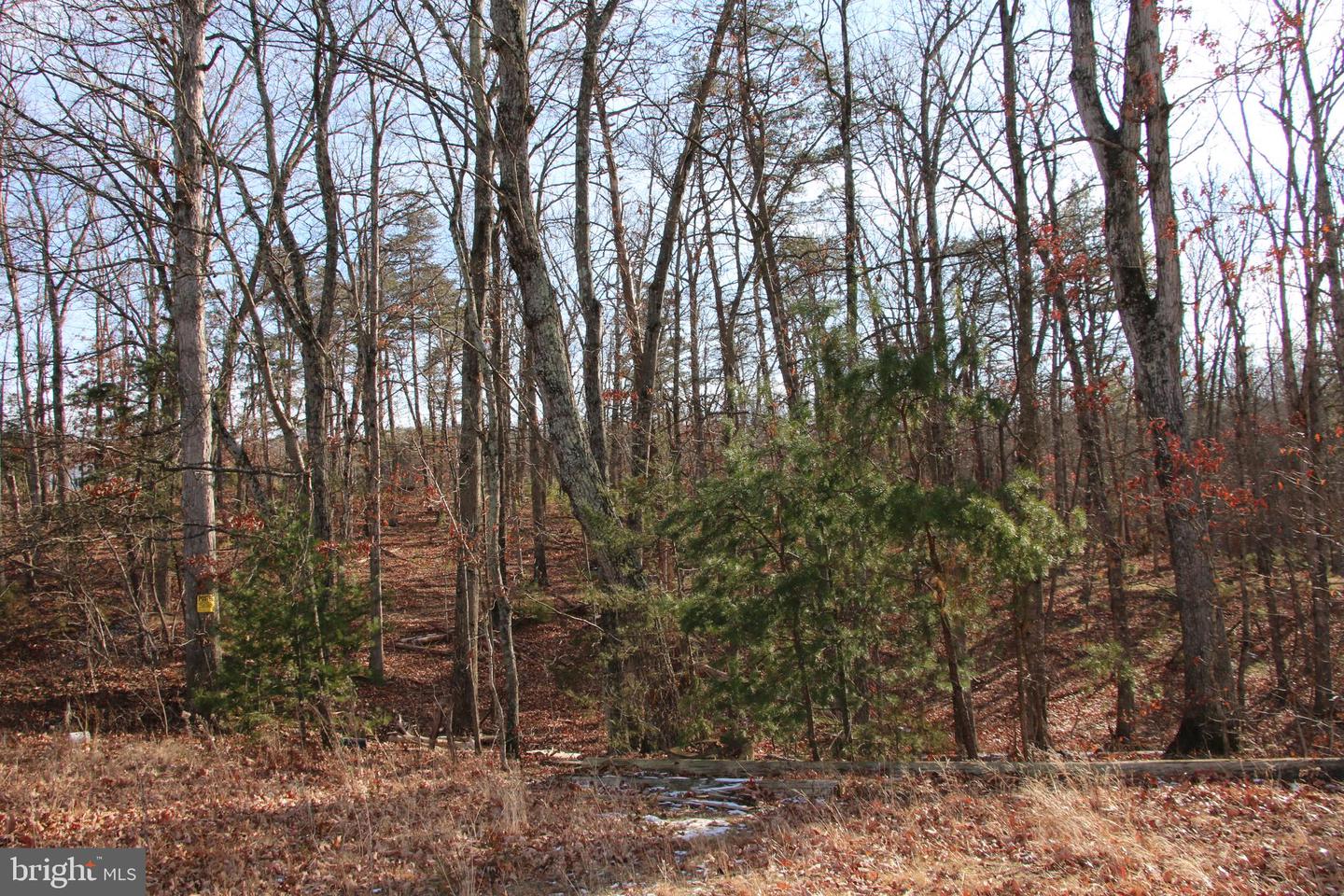 JOHN MARSHALL HWY, STRASBURG, Virginia 22657, ,Land,For Sale,JOHN MARSHALL HWY,VASH2013186 MLS # VASH2013186