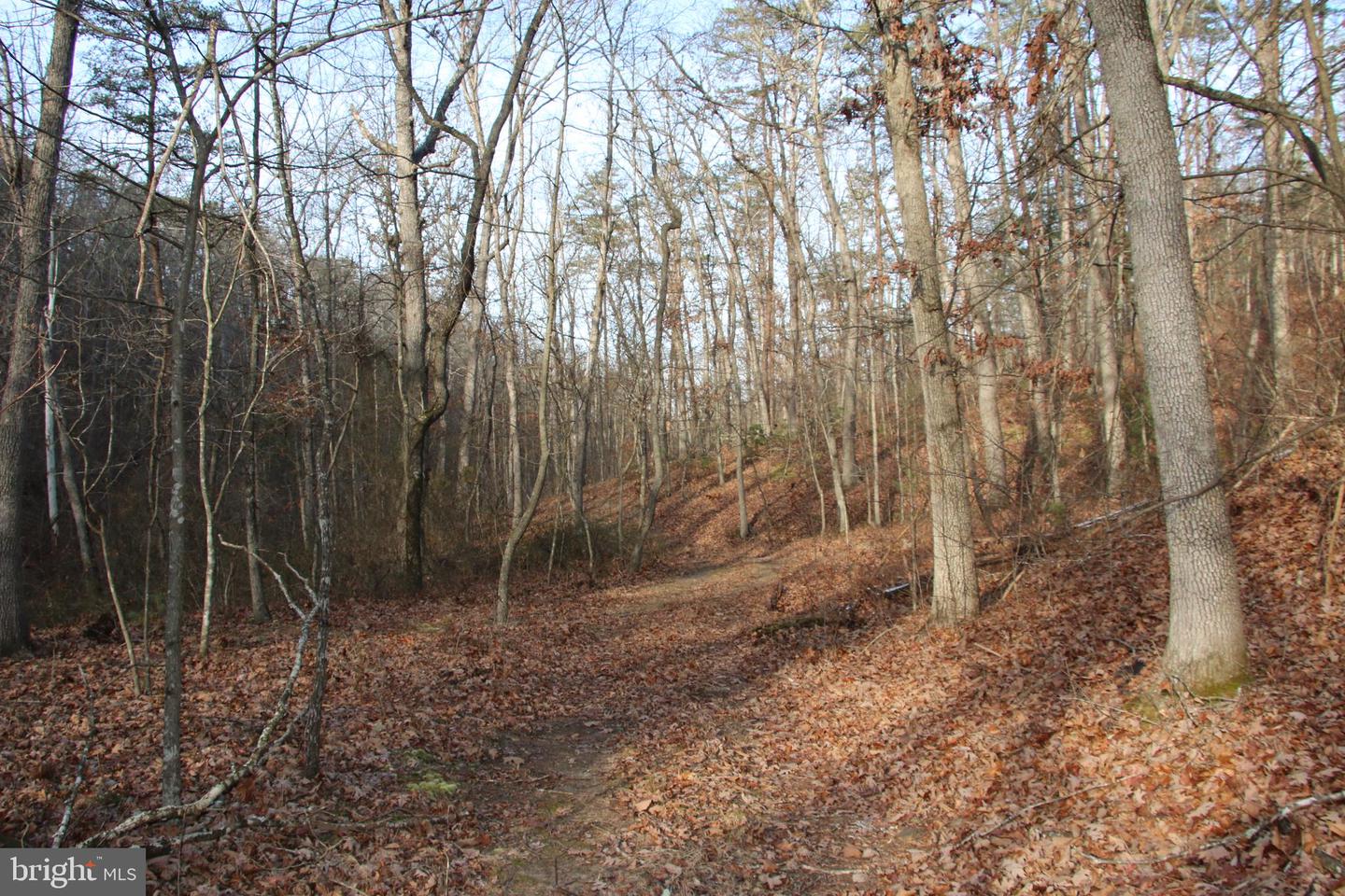 JOHN MARSHALL HWY, STRASBURG, Virginia 22657, ,Land,For Sale,JOHN MARSHALL HWY,VASH2013186 MLS # VASH2013186