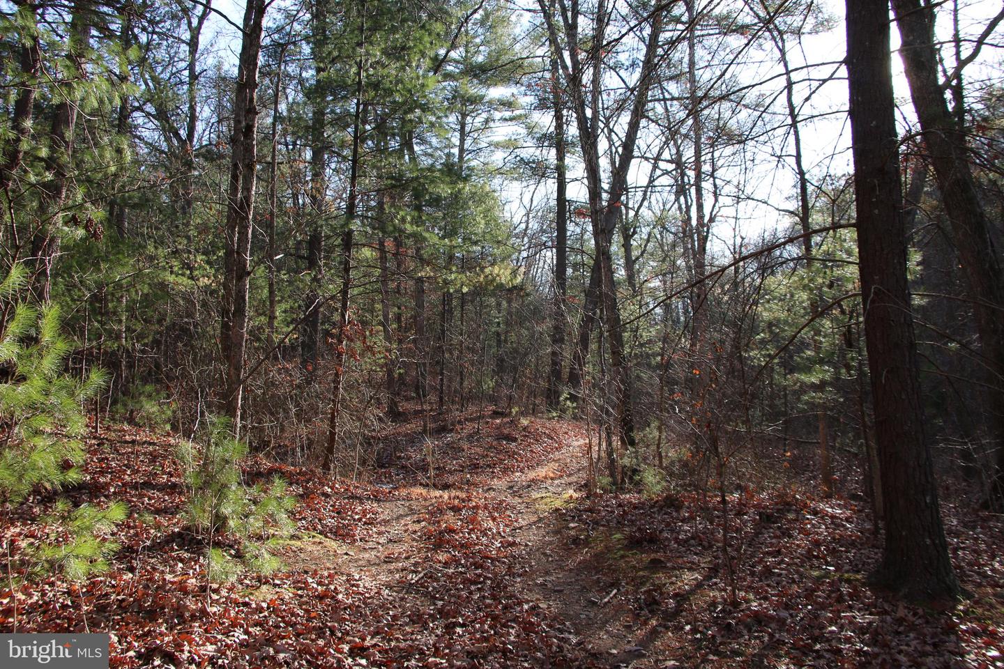 JOHN MARSHALL HWY, STRASBURG, Virginia 22657, ,Land,For Sale,JOHN MARSHALL HWY,VASH2013186 MLS # VASH2013186