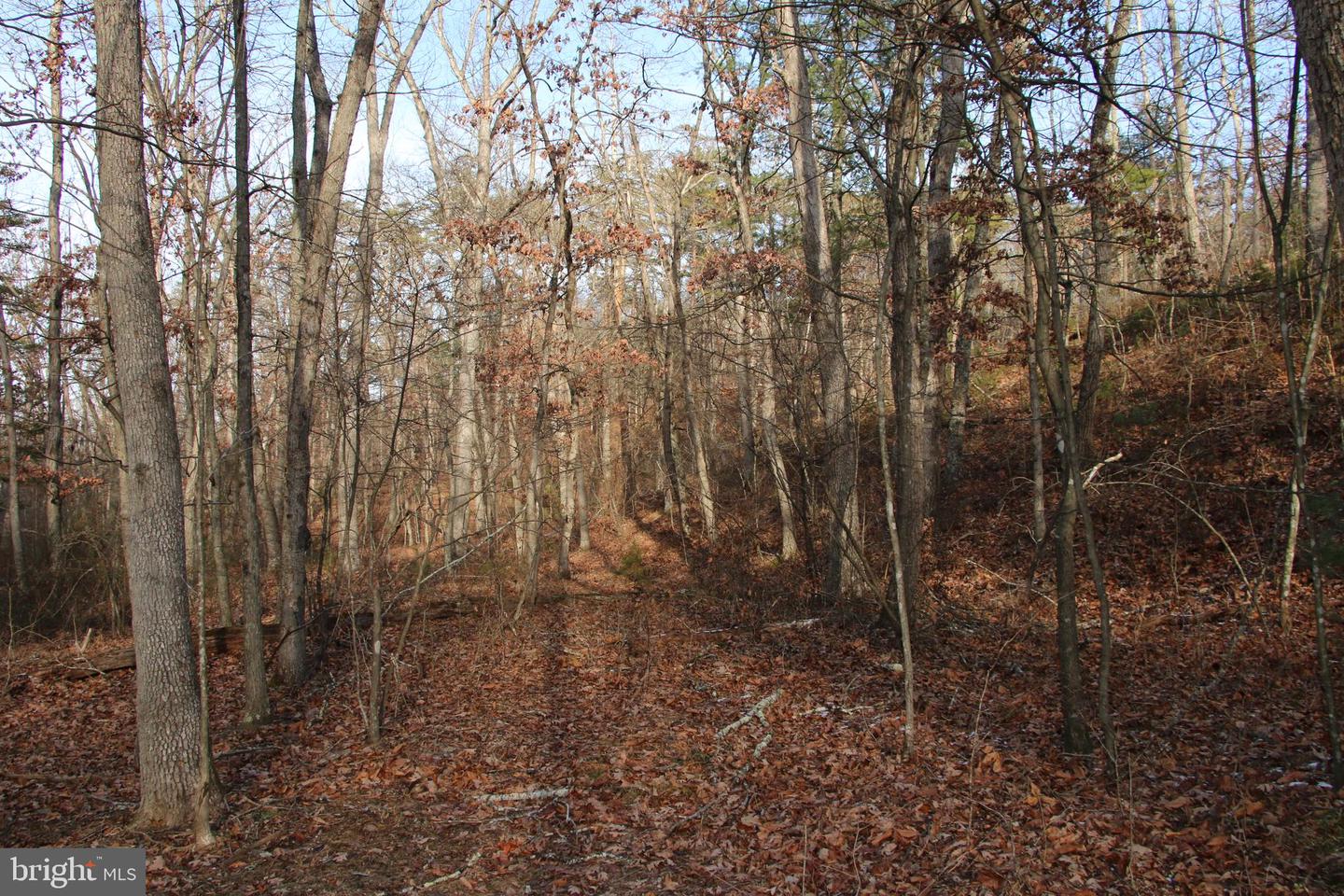 JOHN MARSHALL HWY, STRASBURG, Virginia 22657, ,Land,For Sale,JOHN MARSHALL HWY,VASH2013186 MLS # VASH2013186