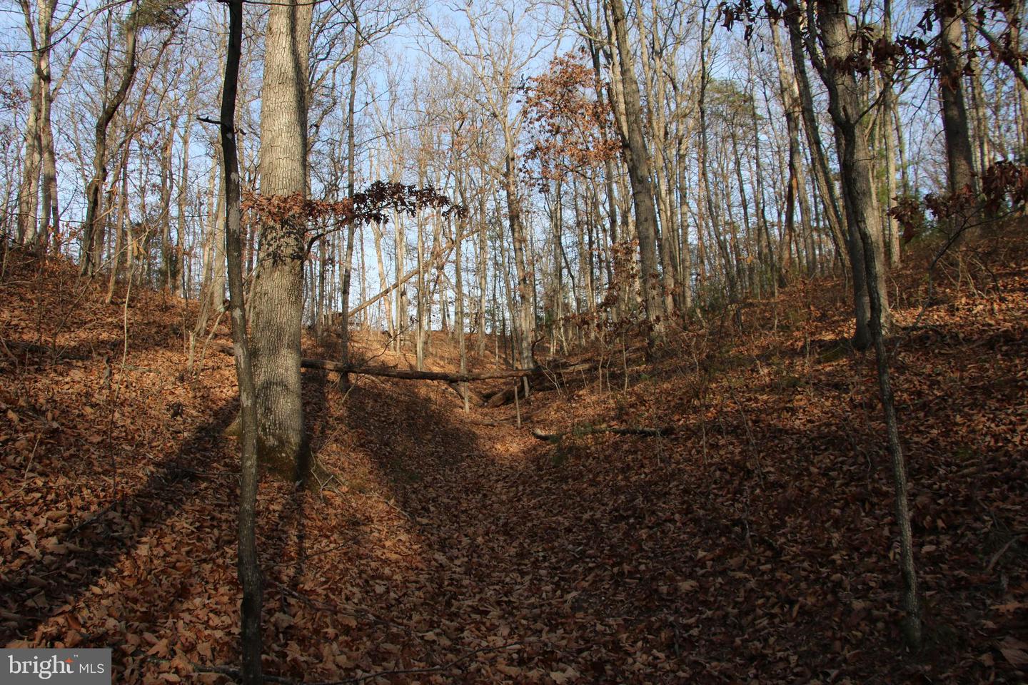 JOHN MARSHALL HWY, STRASBURG, Virginia 22657, ,Land,For Sale,JOHN MARSHALL HWY,VASH2013186 MLS # VASH2013186