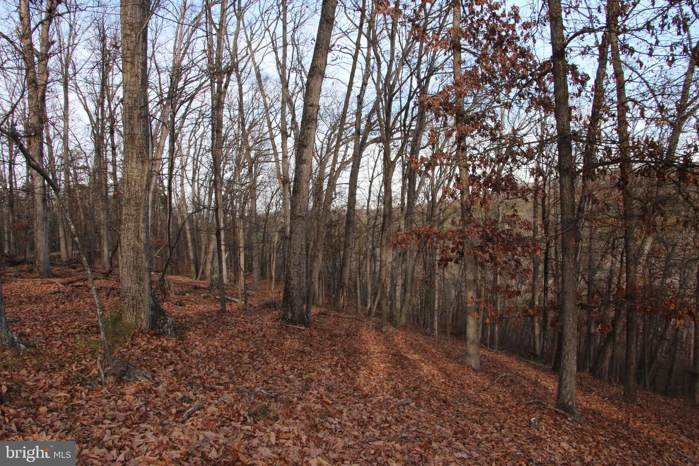 JOHN MARSHALL HWY, STRASBURG, Virginia 22657, ,Land,For Sale,JOHN MARSHALL HWY,VASH2013186 MLS # VASH2013186