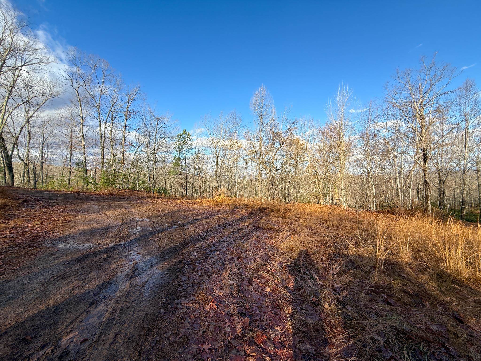 TBD JOHNSON HOLLOW, SCHUYLER, Virginia 22969, ,Farm,14,TBD JOHNSON HOLLOW,672003 MLS # 672003