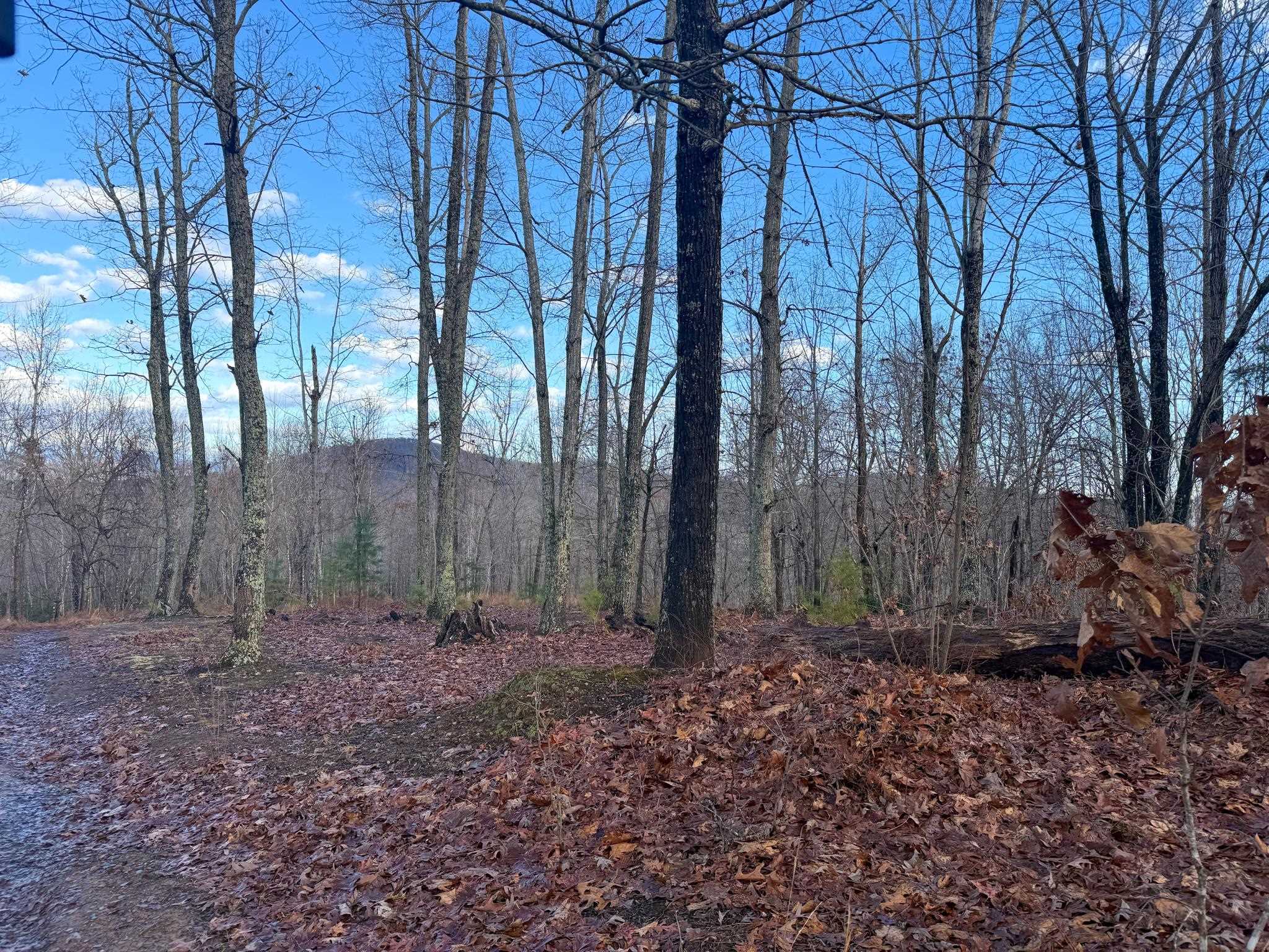 TBD JOHNSON HOLLOW, SCHUYLER, Virginia 22969, ,Farm,14,TBD JOHNSON HOLLOW,672003 MLS # 672003