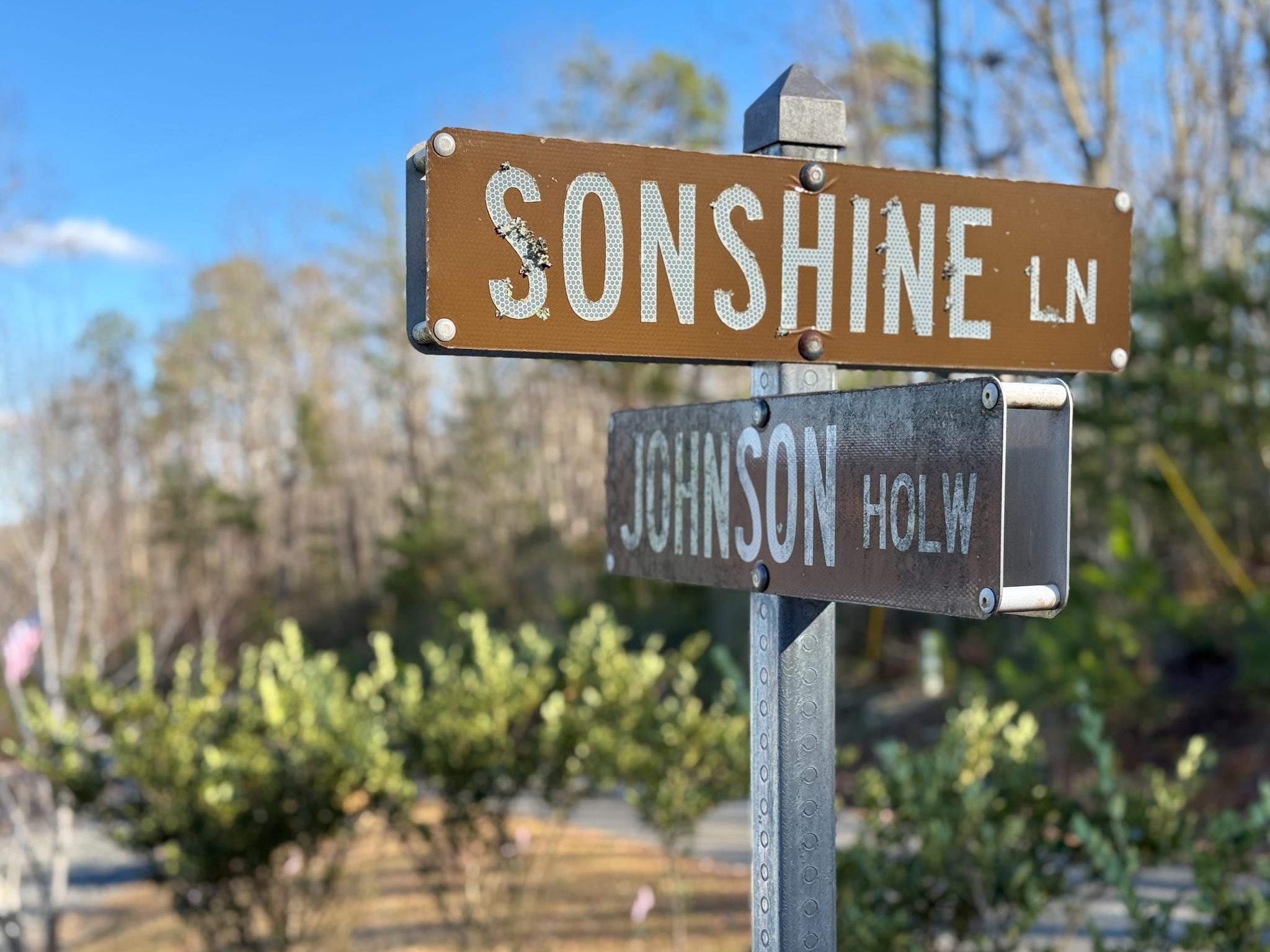 TBD JOHNSON HOLLOW, SCHUYLER, Virginia 22969, ,Farm,14,TBD JOHNSON HOLLOW,672003 MLS # 672003