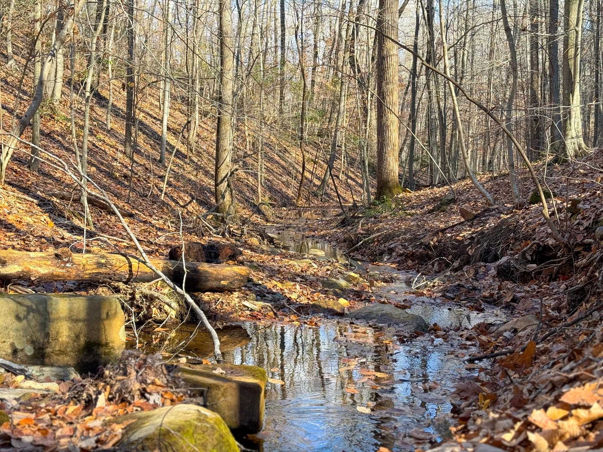 TBD JOHNSON HOLLOW, SCHUYLER, Virginia 22969, ,Farm,14,TBD JOHNSON HOLLOW,672003 MLS # 672003