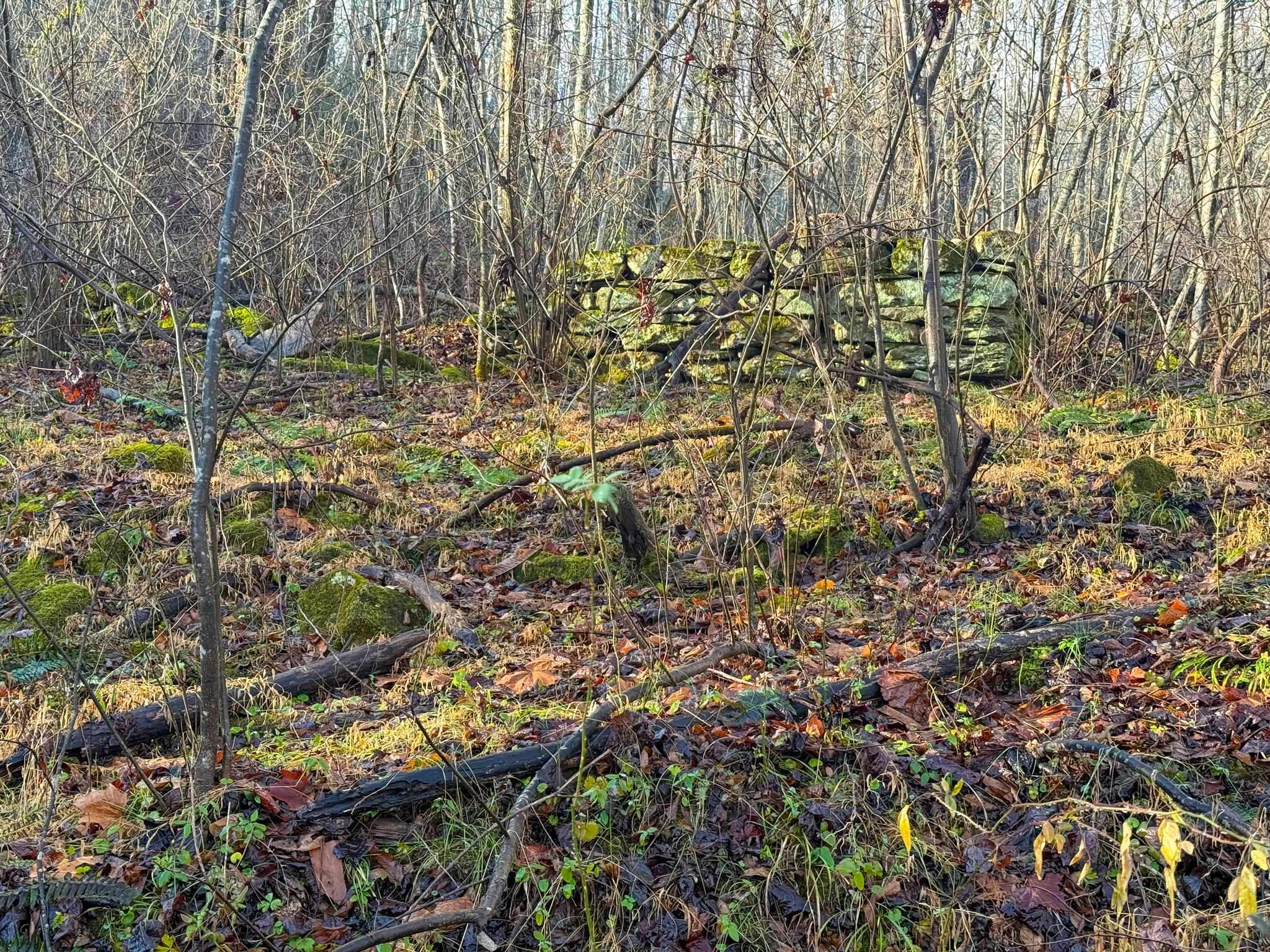 TBD JOHNSON HOLLOW, SCHUYLER, Virginia 22969, ,Farm,14,TBD JOHNSON HOLLOW,672003 MLS # 672003