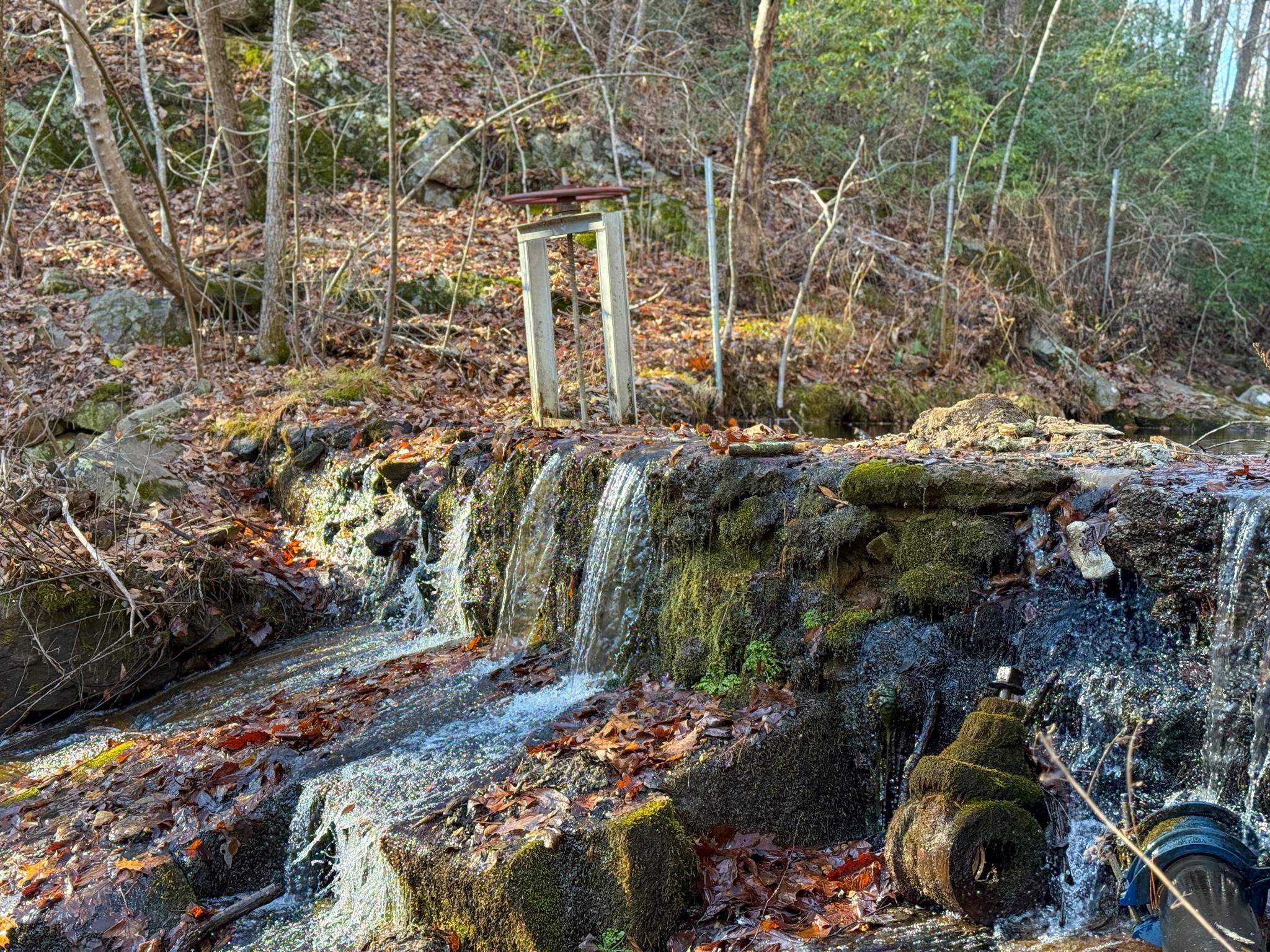 TBD JOHNSON HOLLOW, SCHUYLER, Virginia 22969, ,Farm,14,TBD JOHNSON HOLLOW,672003 MLS # 672003