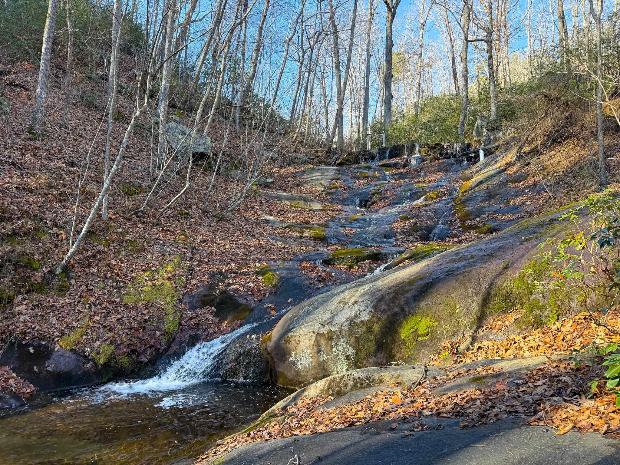 TBD JOHNSON HOLLOW, SCHUYLER, Virginia 22969, ,Farm,14,TBD JOHNSON HOLLOW,672003 MLS # 672003