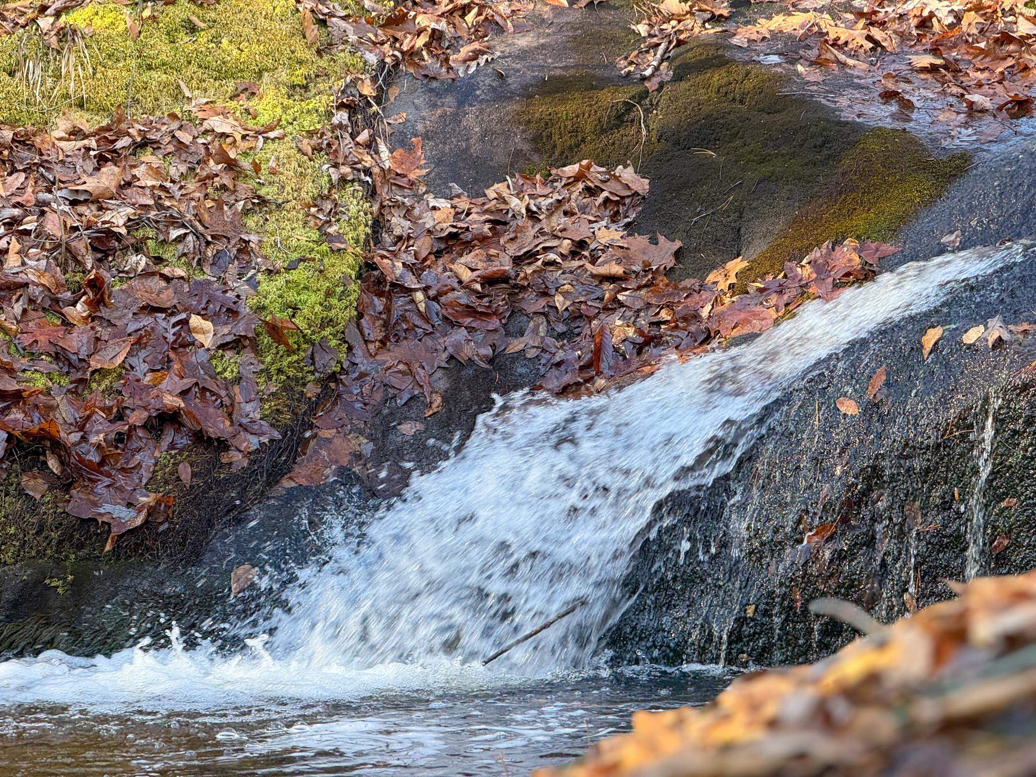 TBD JOHNSON HOLLOW, SCHUYLER, Virginia 22969, ,Farm,14,TBD JOHNSON HOLLOW,672003 MLS # 672003