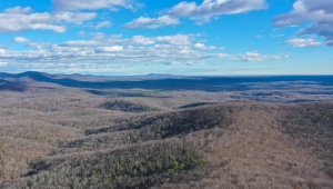 TBD JOHNSON HOLLOW, SCHUYLER, Virginia 22969, ,Farm,14,TBD JOHNSON HOLLOW,672003 MLS # 672003