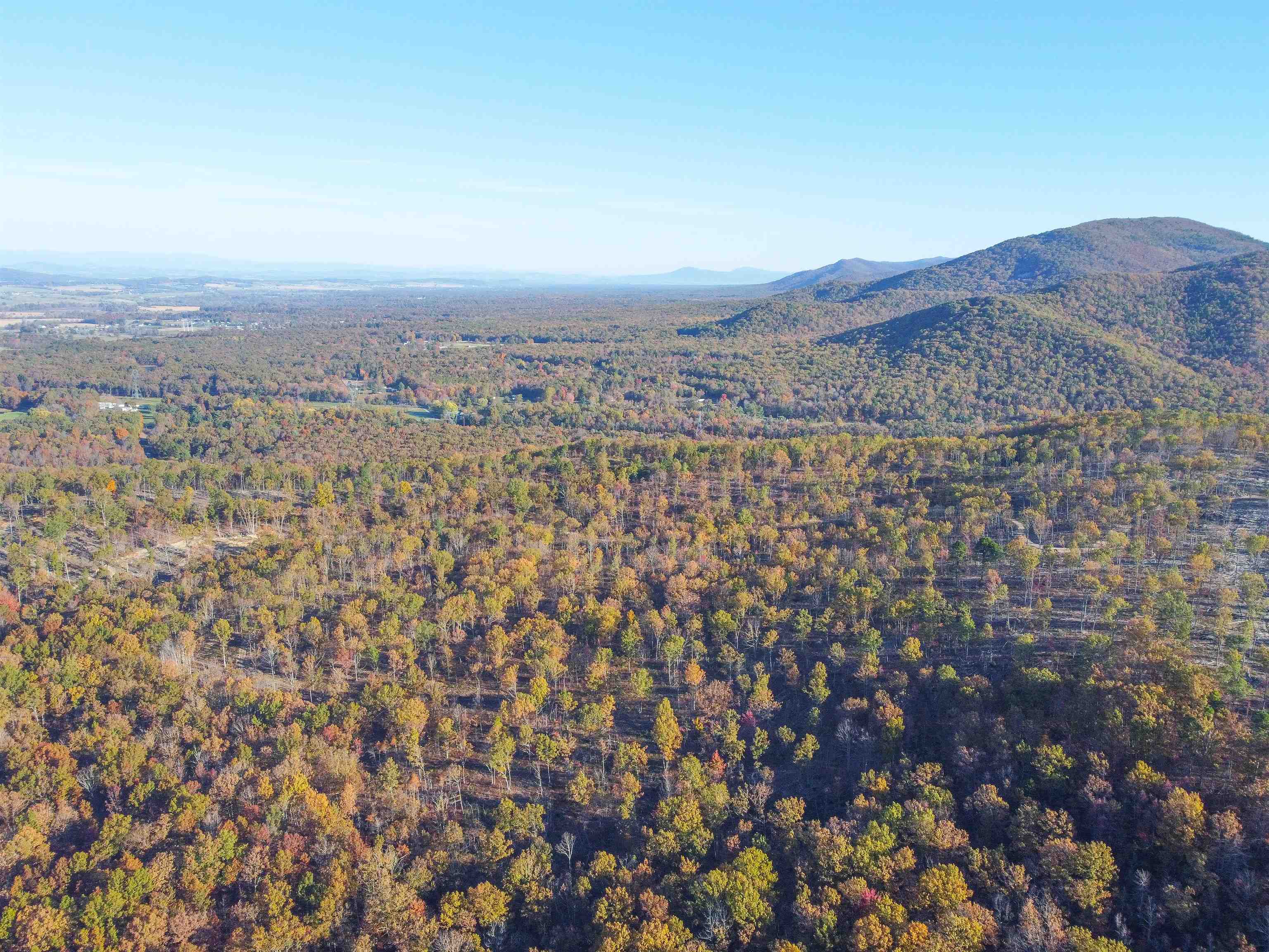 TBD CALF MOUNTAIN RD, WAYNESBORO, Virginia 22980, ,Farm,14,TBD CALF MOUNTAIN RD,644971 MLS # 644971 TBD CALF MOUNTAIN RD, WAYNESBORO, Virginia 22980, ,Farm,14,TBD CALF MOUNTAIN RD,644971 MLS # 644971