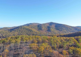 TBD CALF MOUNTAIN RD, WAYNESBORO, Virginia 22980, ,Farm,14,TBD CALF MOUNTAIN RD,644971 MLS # 644971