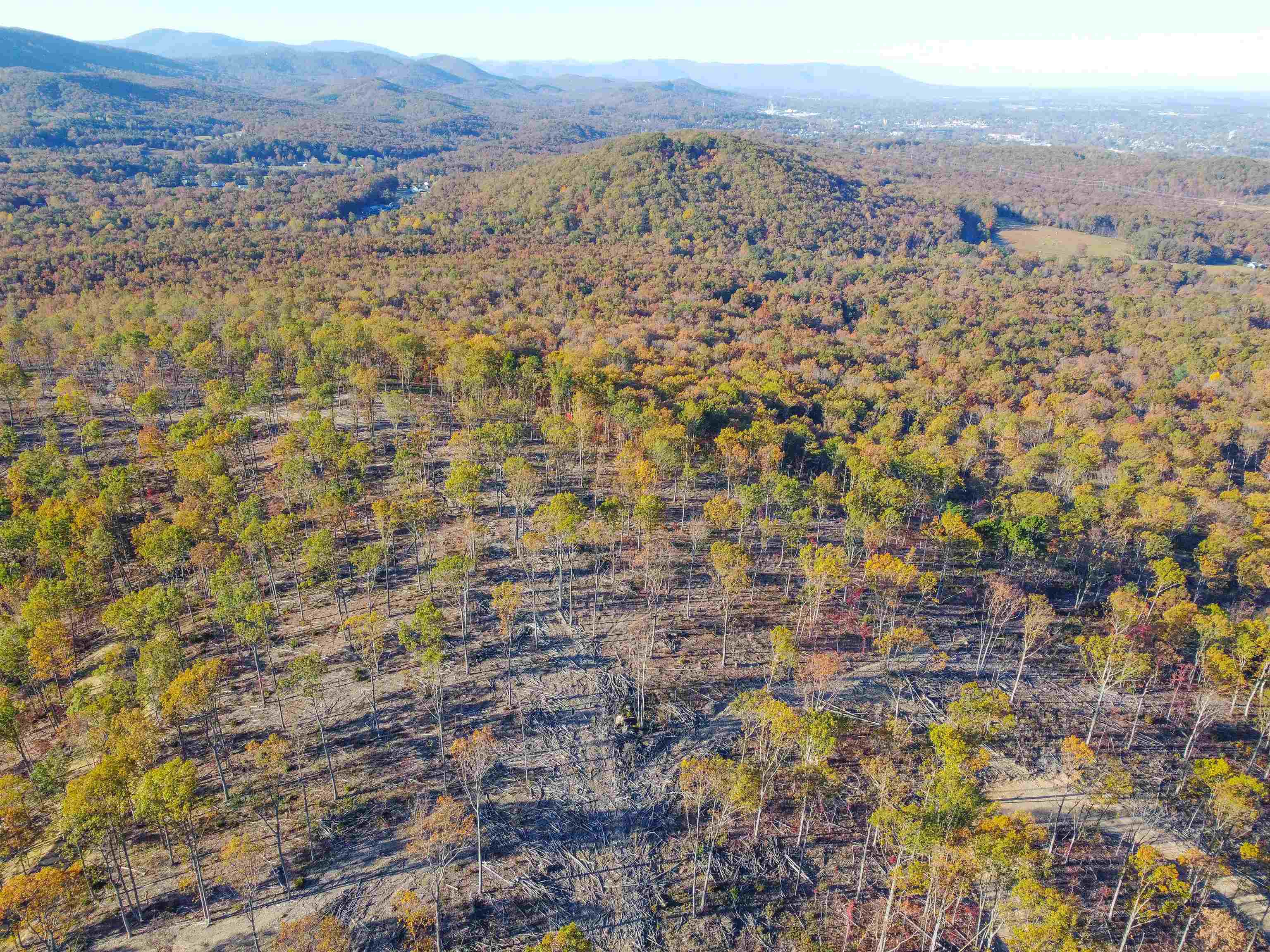 TBD CALF MOUNTAIN RD, WAYNESBORO, Virginia 22980, ,Farm,14,TBD CALF MOUNTAIN RD,644972 MLS # 644972